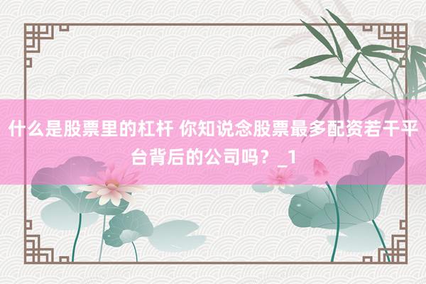 什么是股票里的杠杆 你知说念股票最多配资若干平台背后的公司吗？_1